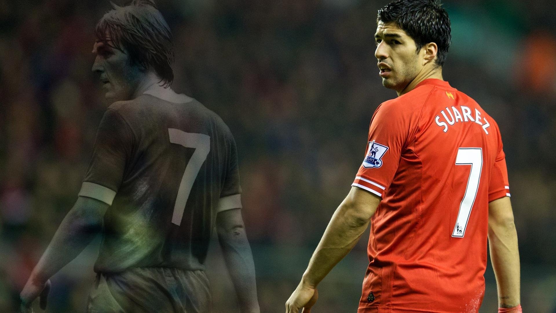 中国足球专家团发布新研究成果,足球专家介绍